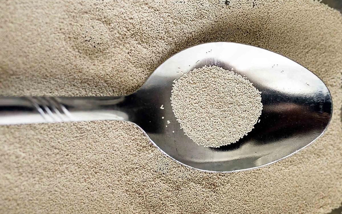 Yeast